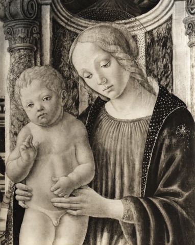 Gray, R. — Botticini Francesco - sec. XV - Madonna con Bambino — particolare